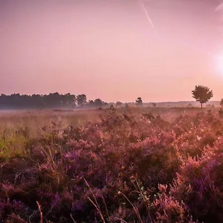 In Veluwe Near Nature Reserve, Cleaning Included * Voorthuizen
