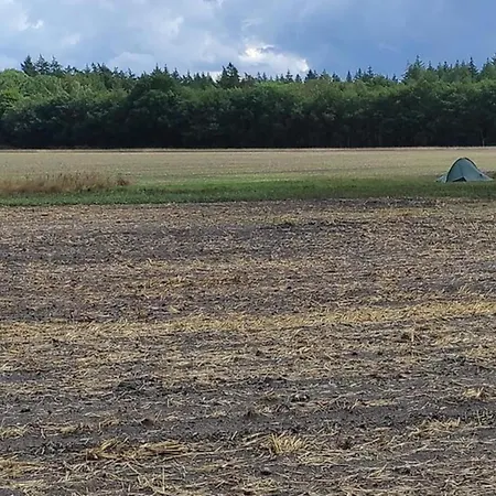In Veluwe Near Nature Reserve, Cleaning Included Nyaraló