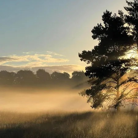 Nyaraló In Veluwe Near Nature Reserve, Cleaning Included