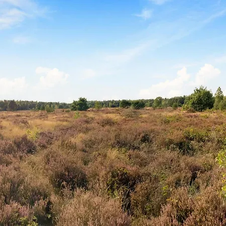 In Veluwe Near Nature Reserve, Cleaning Included Nyaraló *