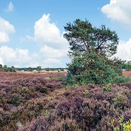 In Veluwe Near Nature Reserve, Cleaning Included Nyaraló Voorthuizen