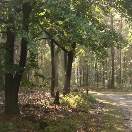 Nyaraló In Veluwe Near Nature Reserve, Cleaning Included Voorthuizen