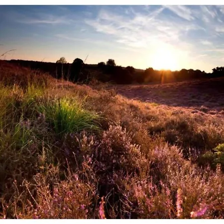 In Veluwe Near Nature Reserve, Cleaning Included